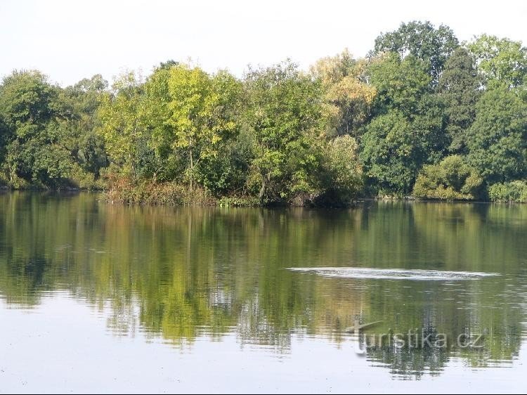 A flowing pond