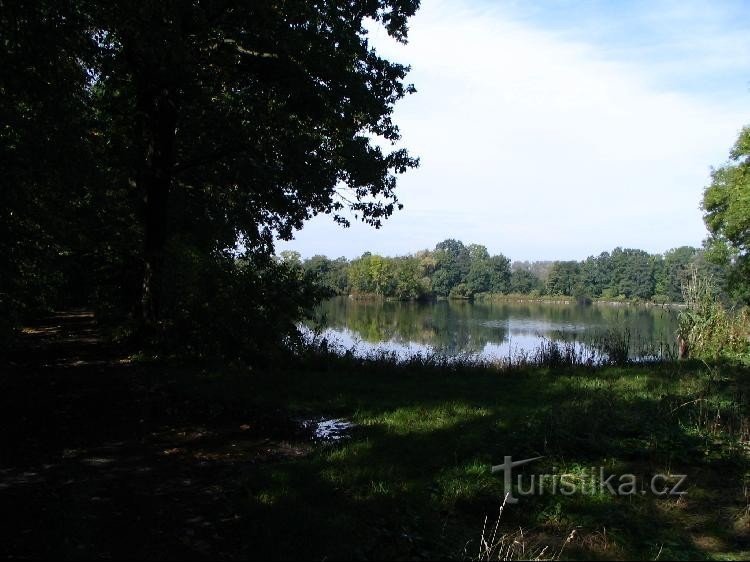 A flowing pond