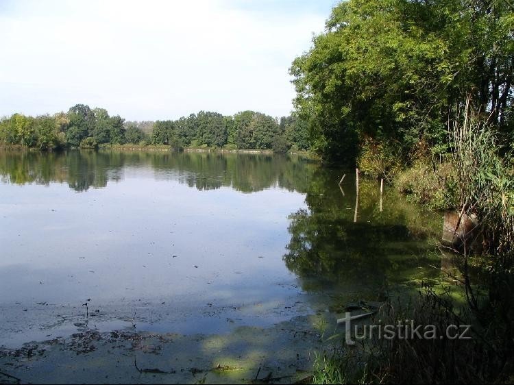 A flowing pond