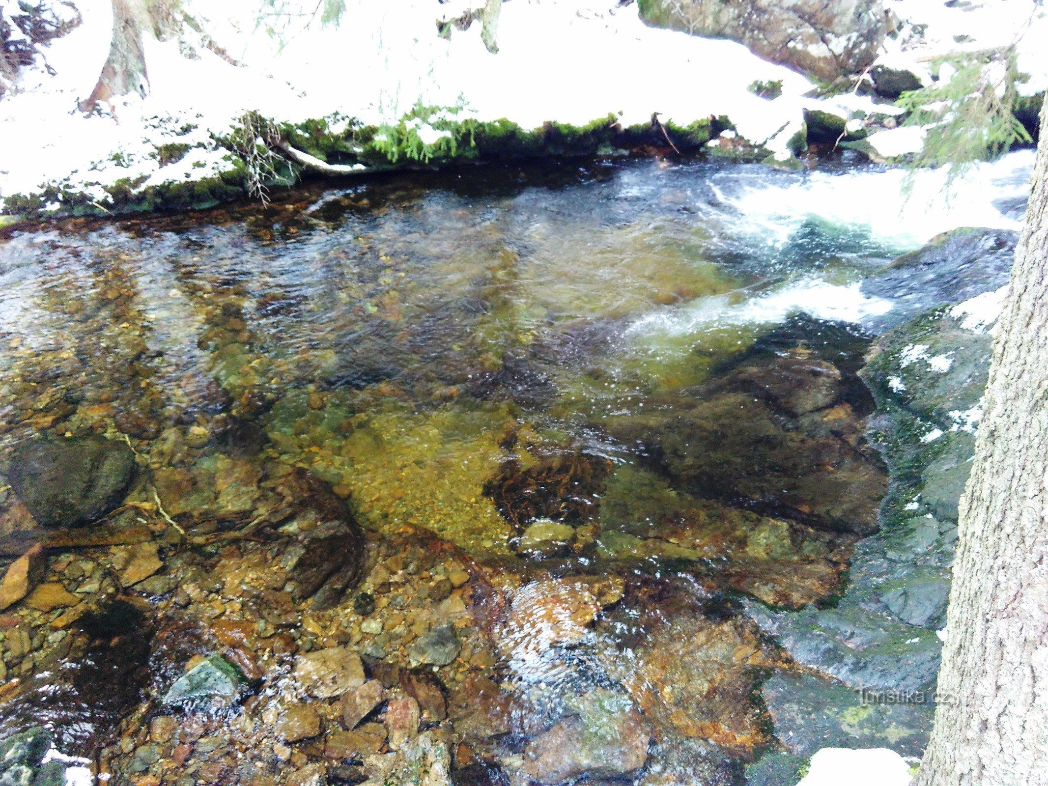 águas límpidas do riacho Zelené