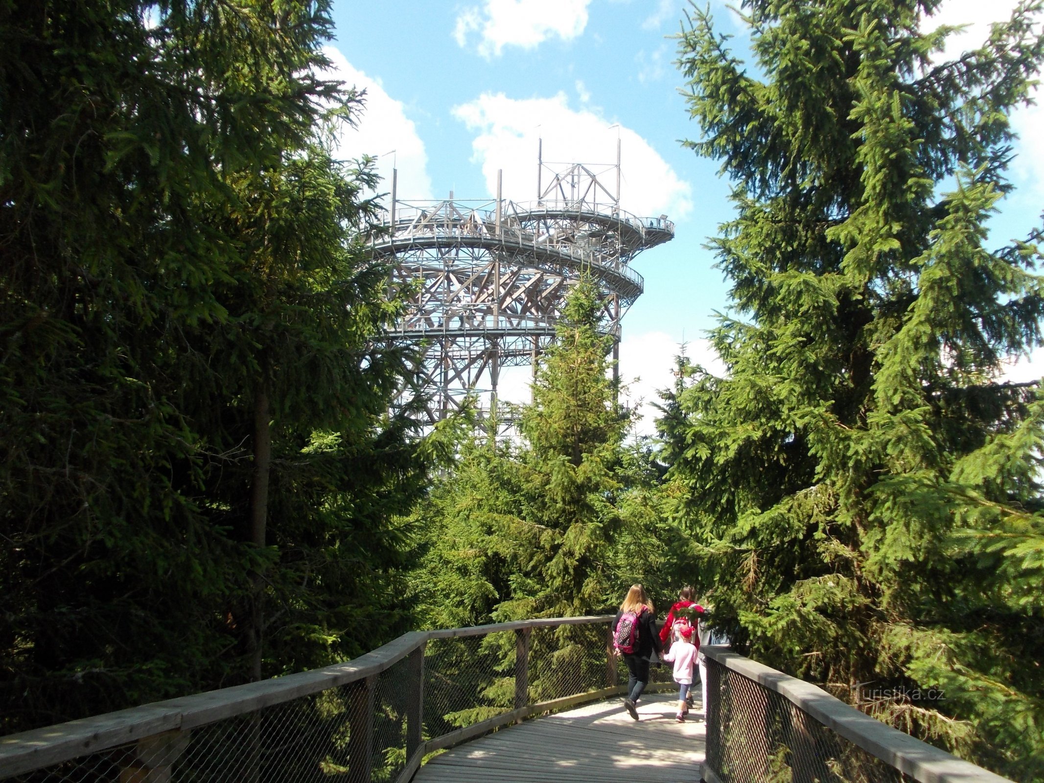 erste Schritte auf dem Trail