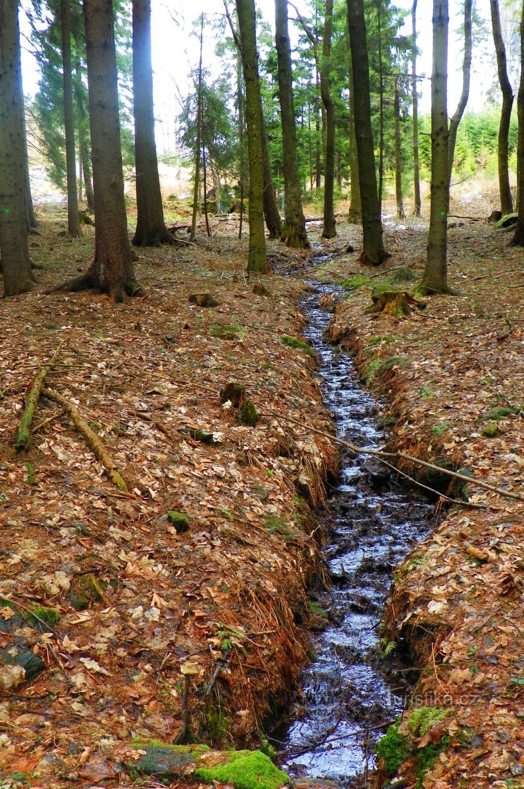 the first tens of meters of Balinka