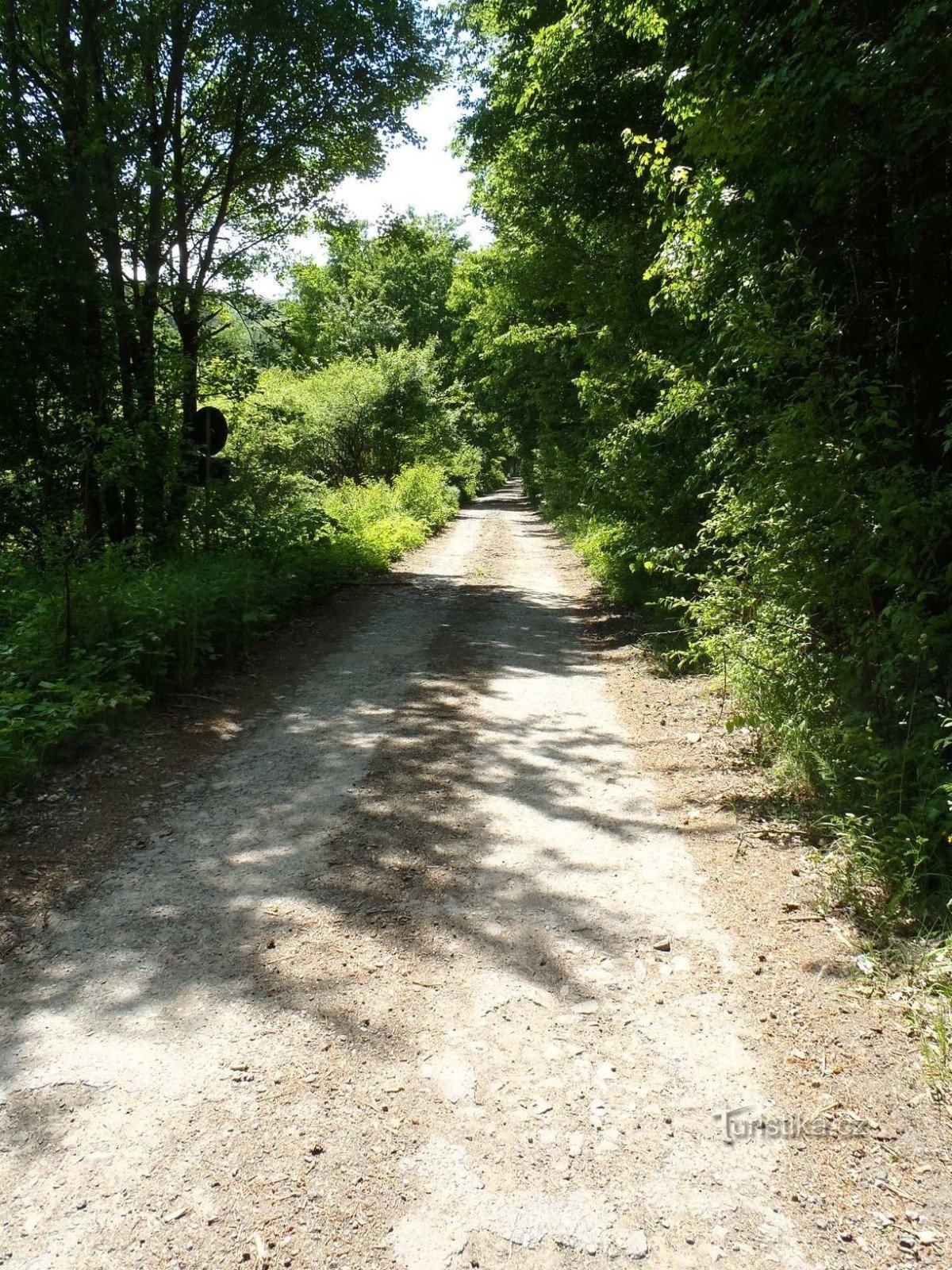 Prvi metri vzpona po zeleni markaciji iz doline Kyjovka - 27.5.2012. XNUMX. XNUMX