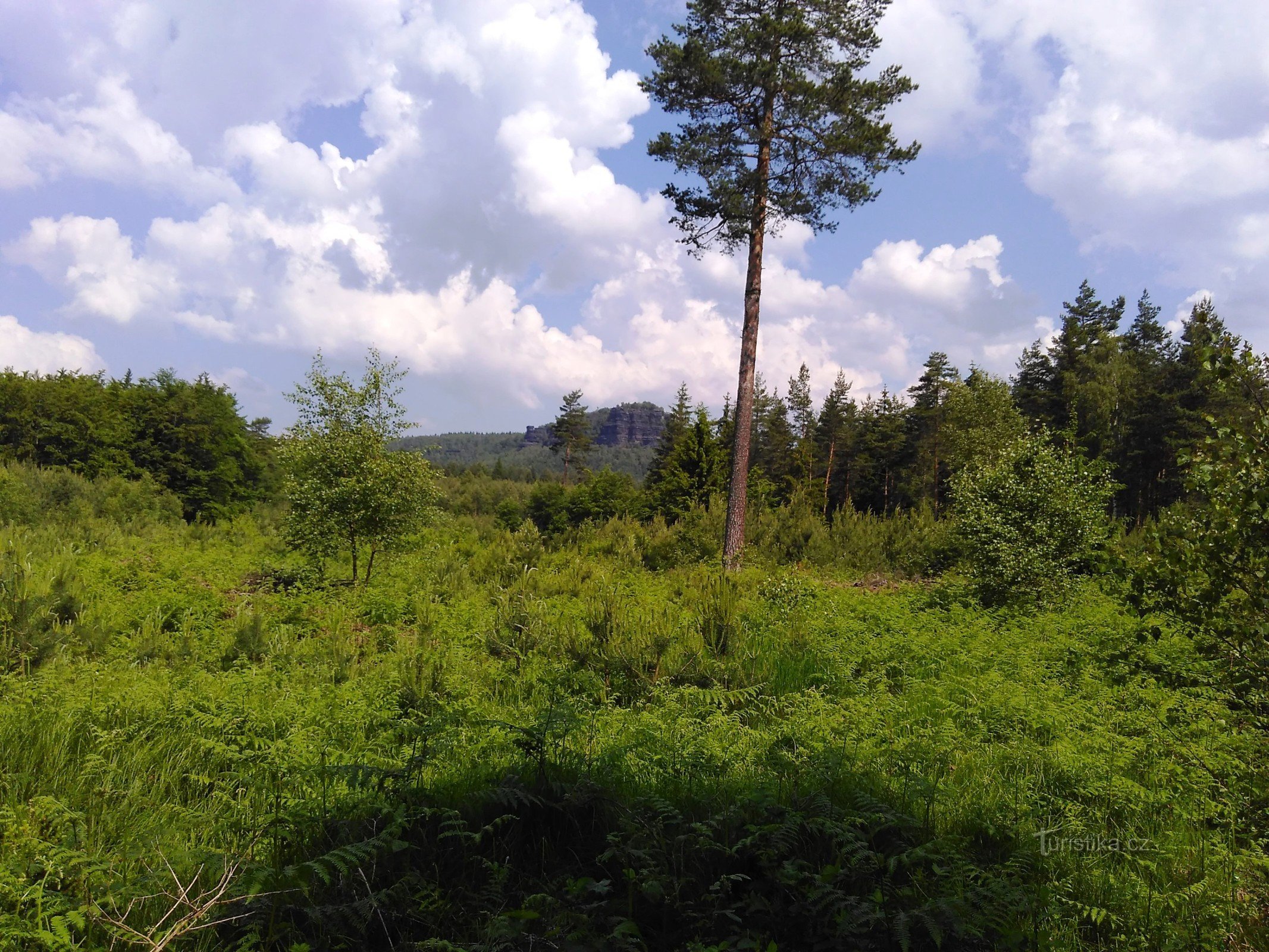 première vue de Grosser Zschirnstein