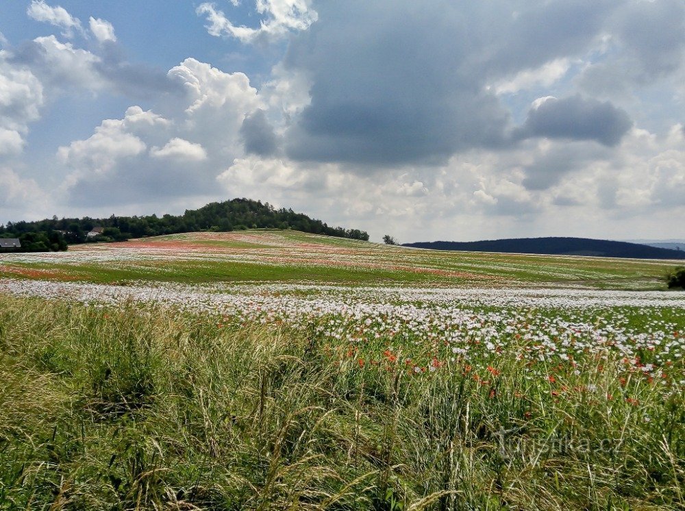 første udsigt over Hudlická skála