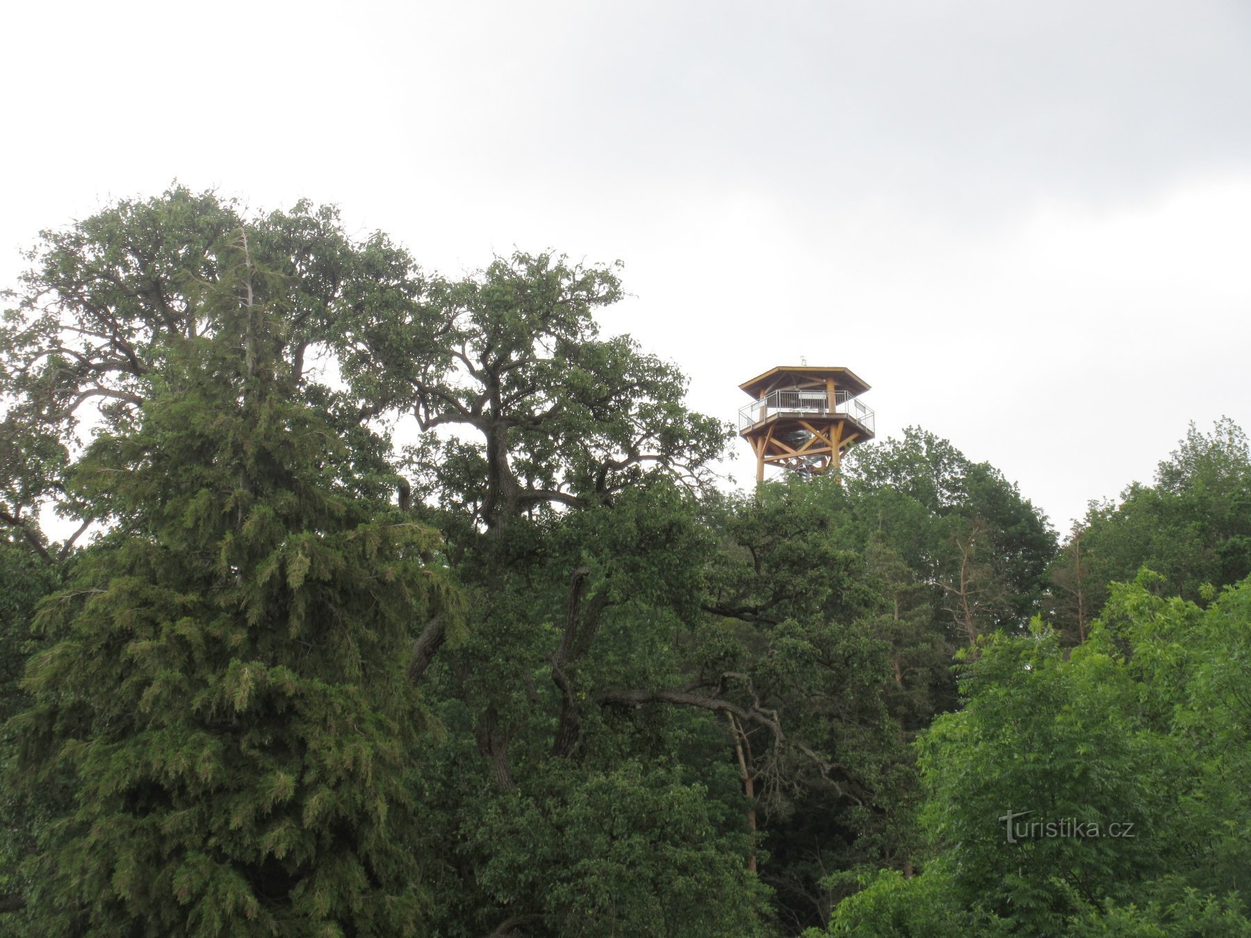 Eerste zicht op de uitkijktoren