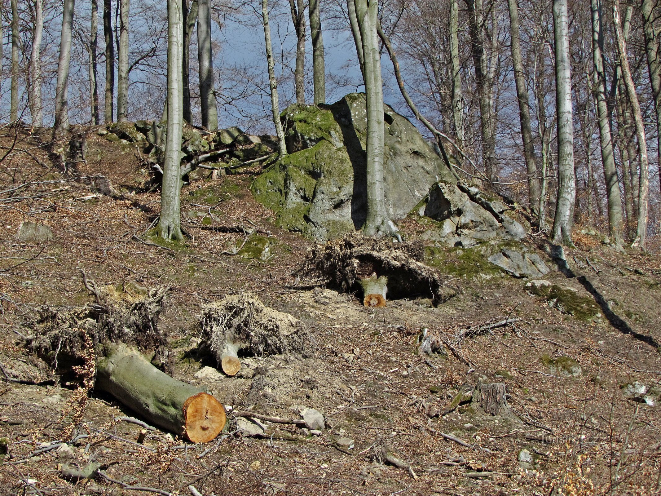 primo affioramento roccioso