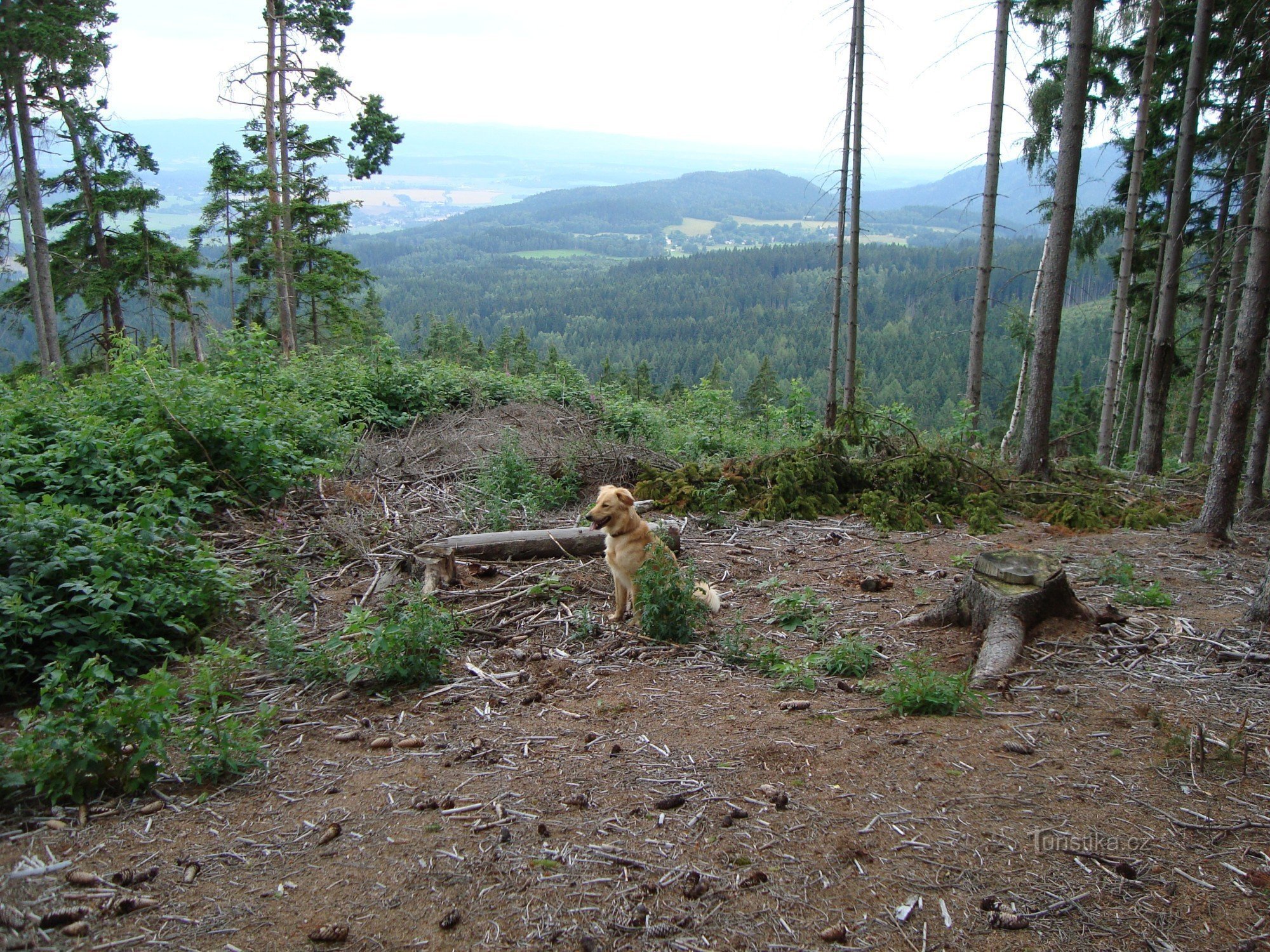 Der erste Aussichtspunkt auf halber Strecke