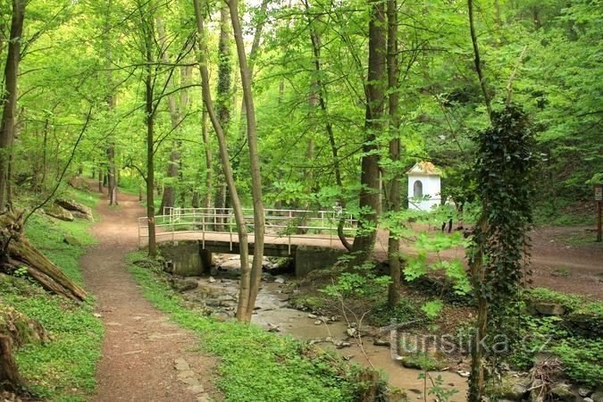 Pierwszy przystanek znajduje się na moście w dolinie potoku Gránický