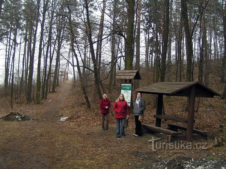 Первая северная остановка