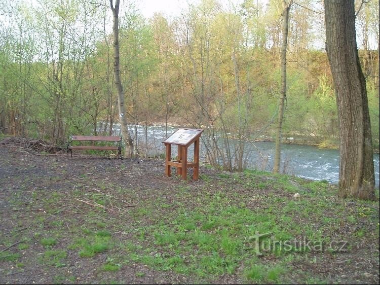 pierwszy przystanek za stadionem piłkarskim