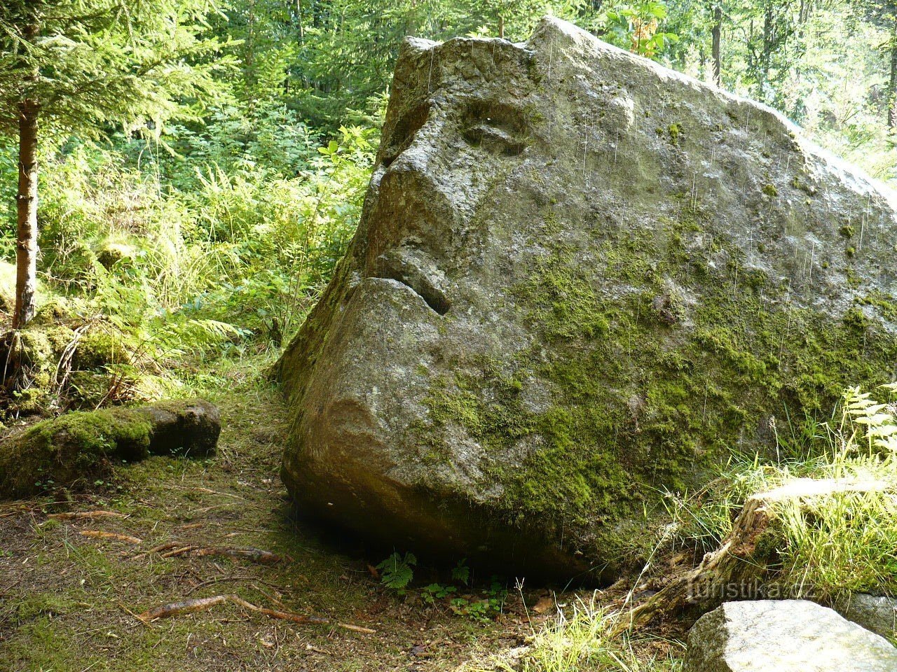 cimitirul de câini