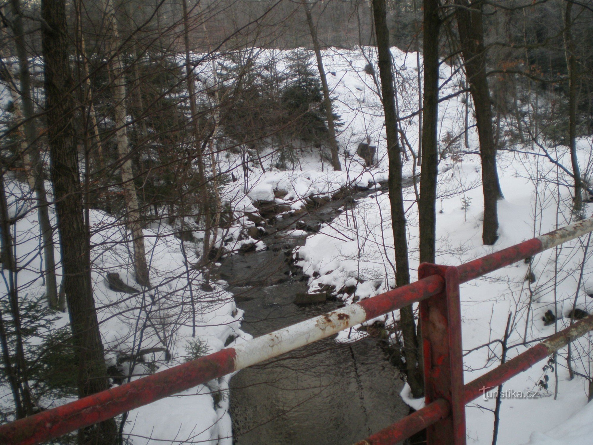 Flusso di trote vicino a Velcí