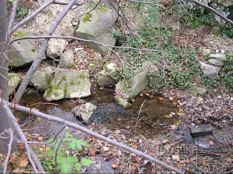 Trout Stream: Suối Cá Hồi