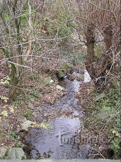 Trout Stream: Suối Cá Hồi