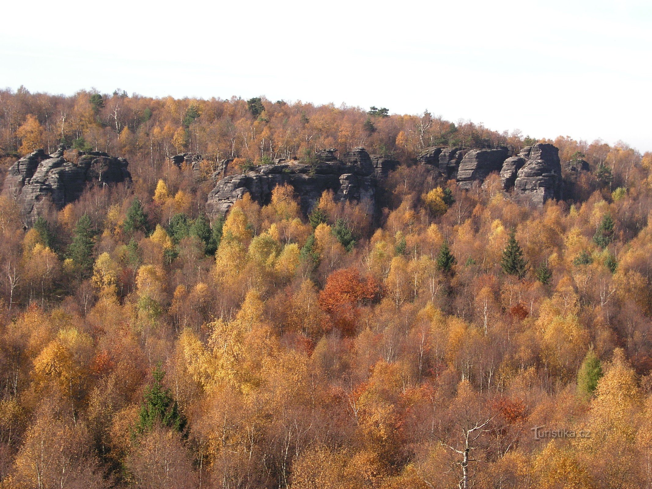 Vernerice fuglesten