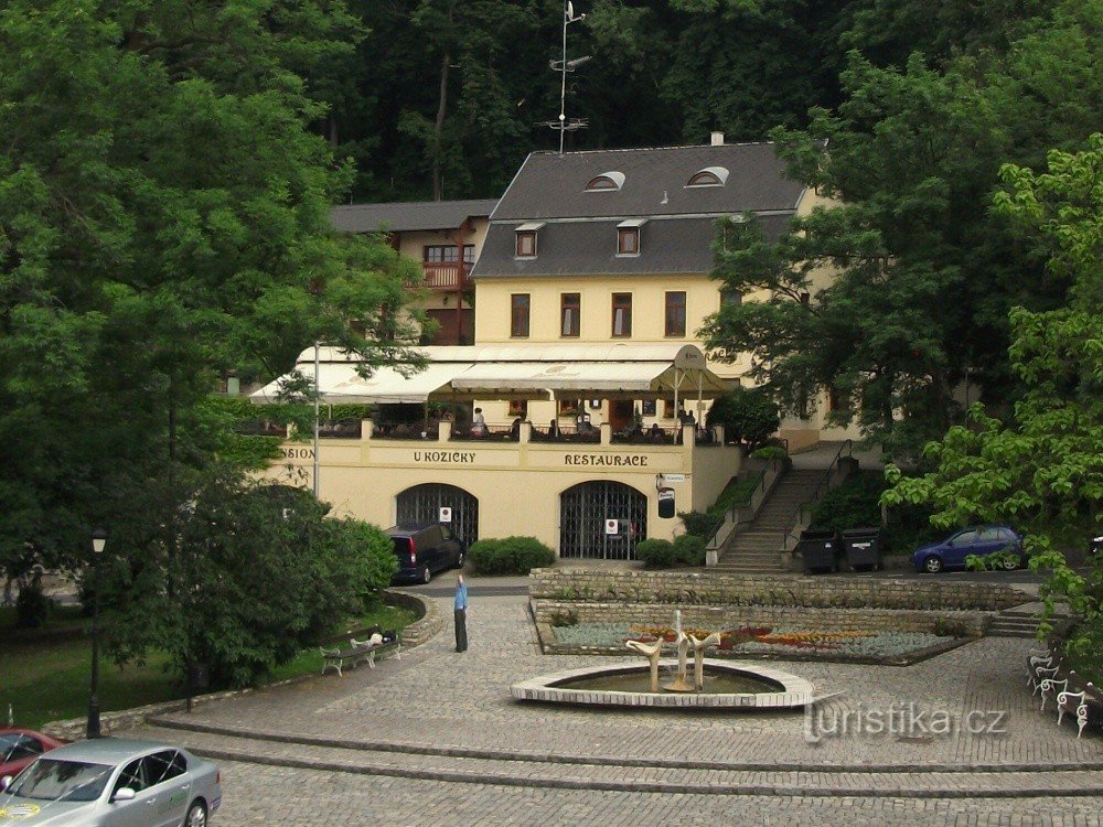 Abreuvoir pour oiseaux à Teplice