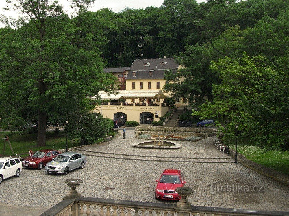 Bird watering hole in Teplice