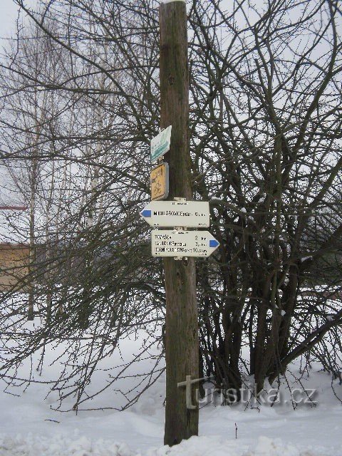 Bird area of ​​Elbe sand dunes - Mikulášovice - Tanečnice