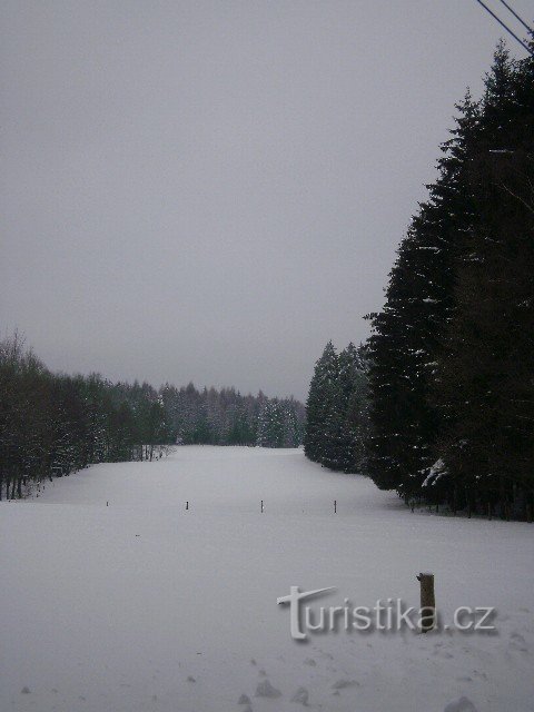 Zona păsărilor din dunele de nisip Elbe - Mikulášovice - Tanečnice