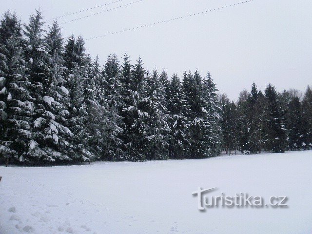 Zona păsărilor din dunele de nisip Elbe - Mikulášovice - Tanečnice