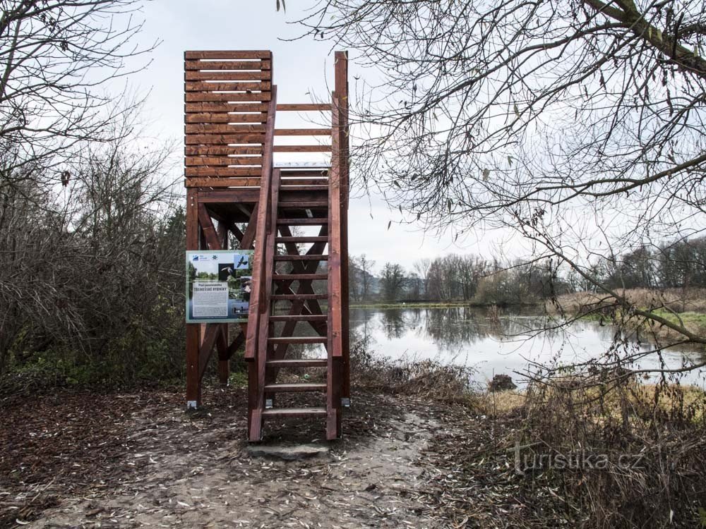 Bird observatory