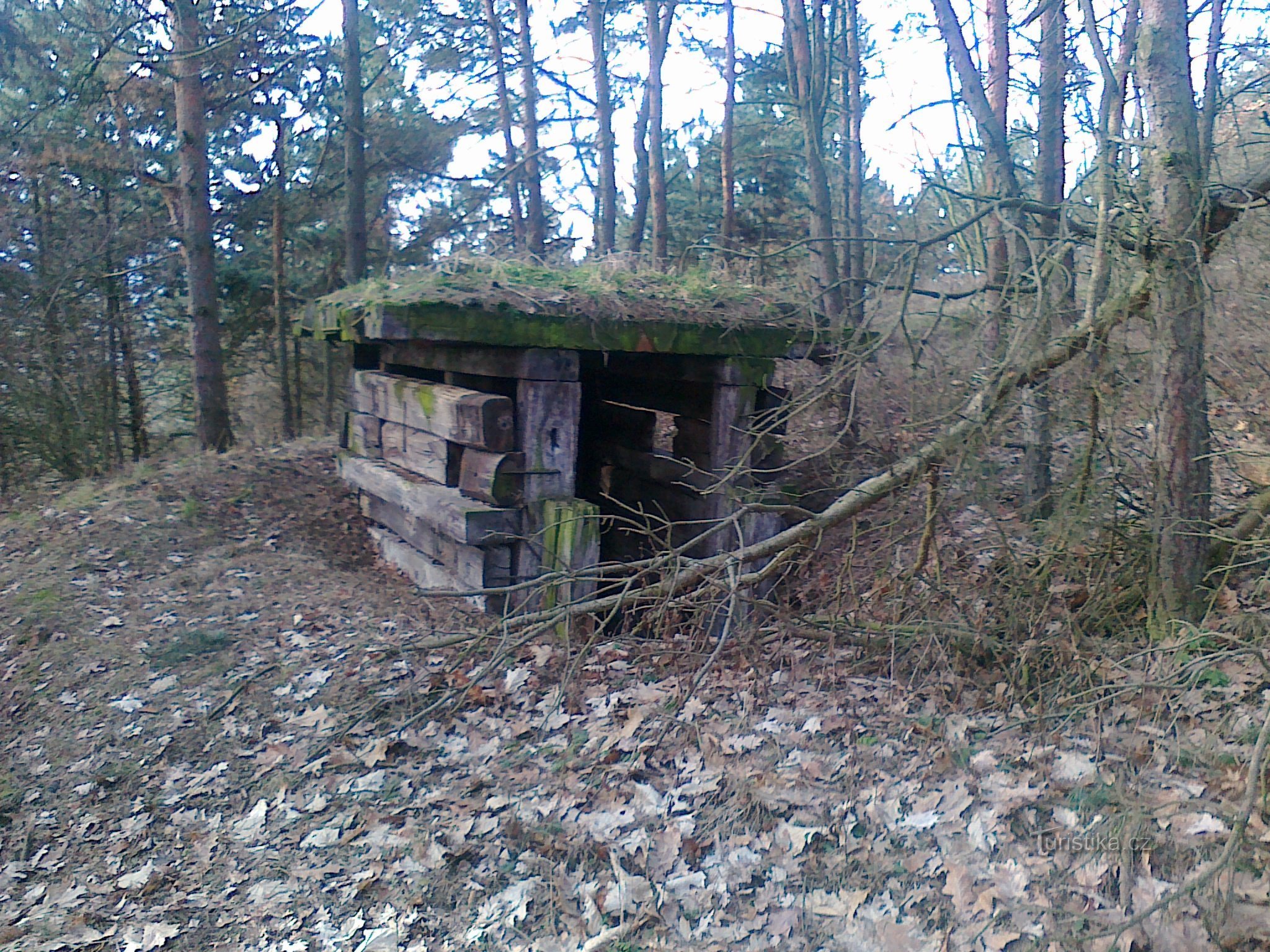 observatorio de aves