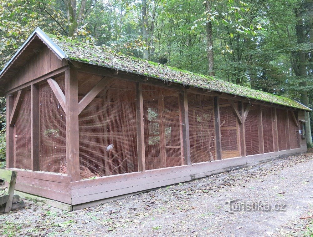 bird aviary