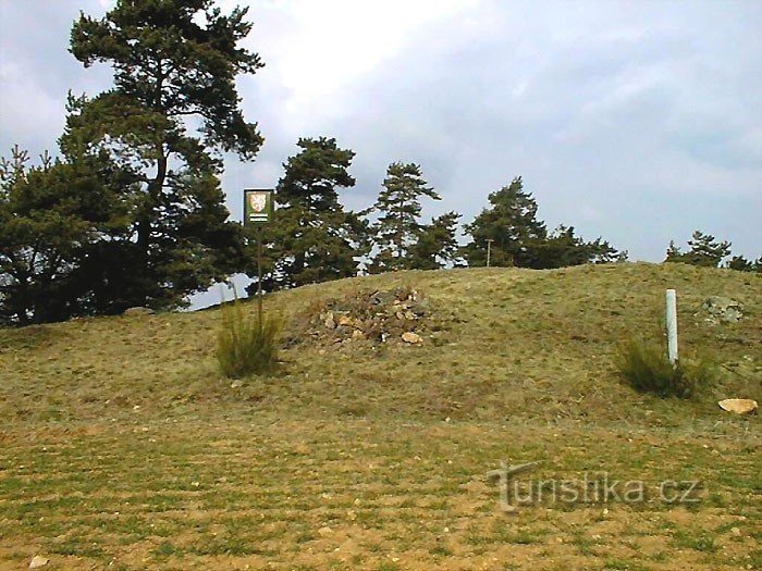 Montículo de pájaros