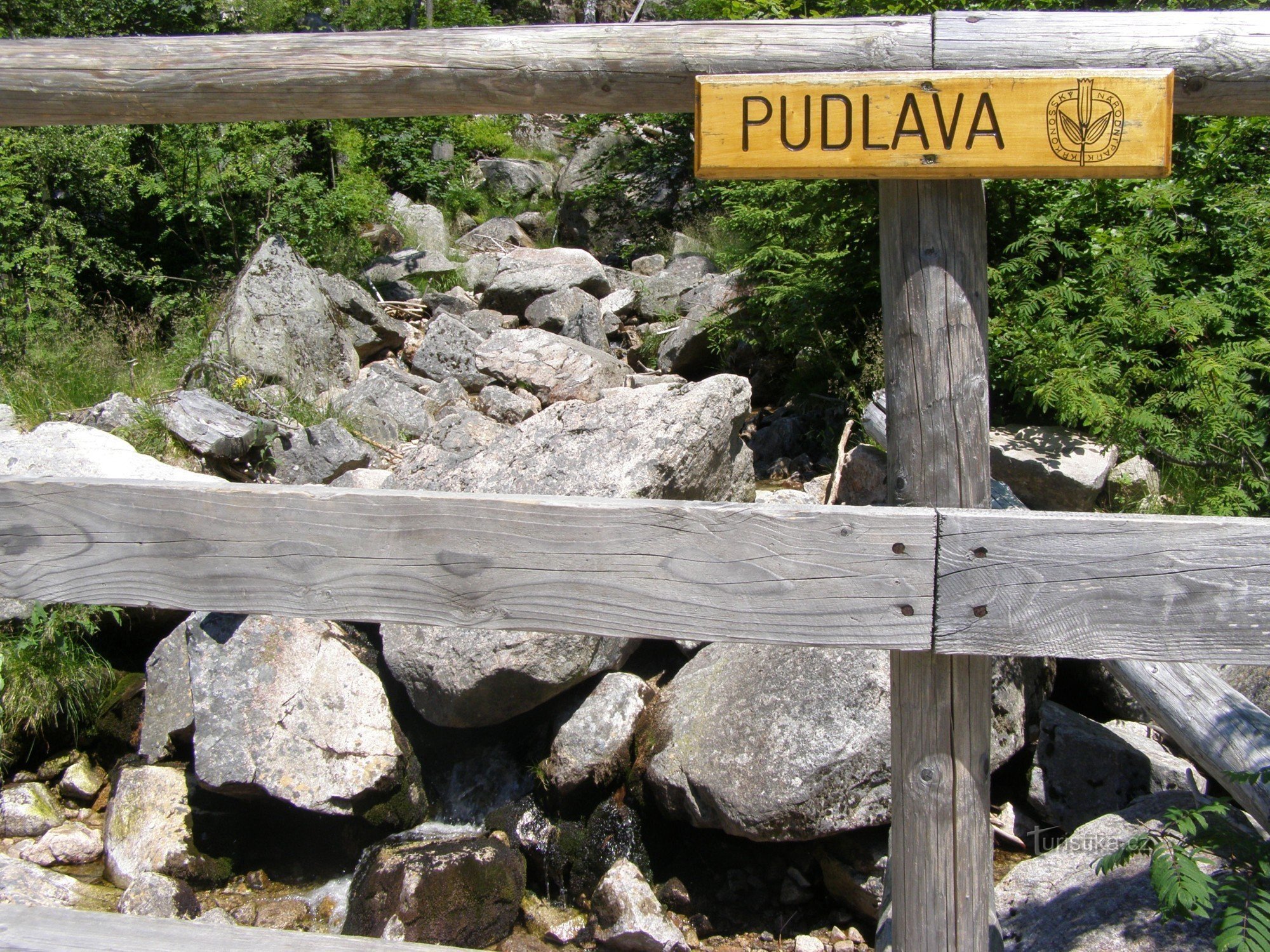 Pudlava