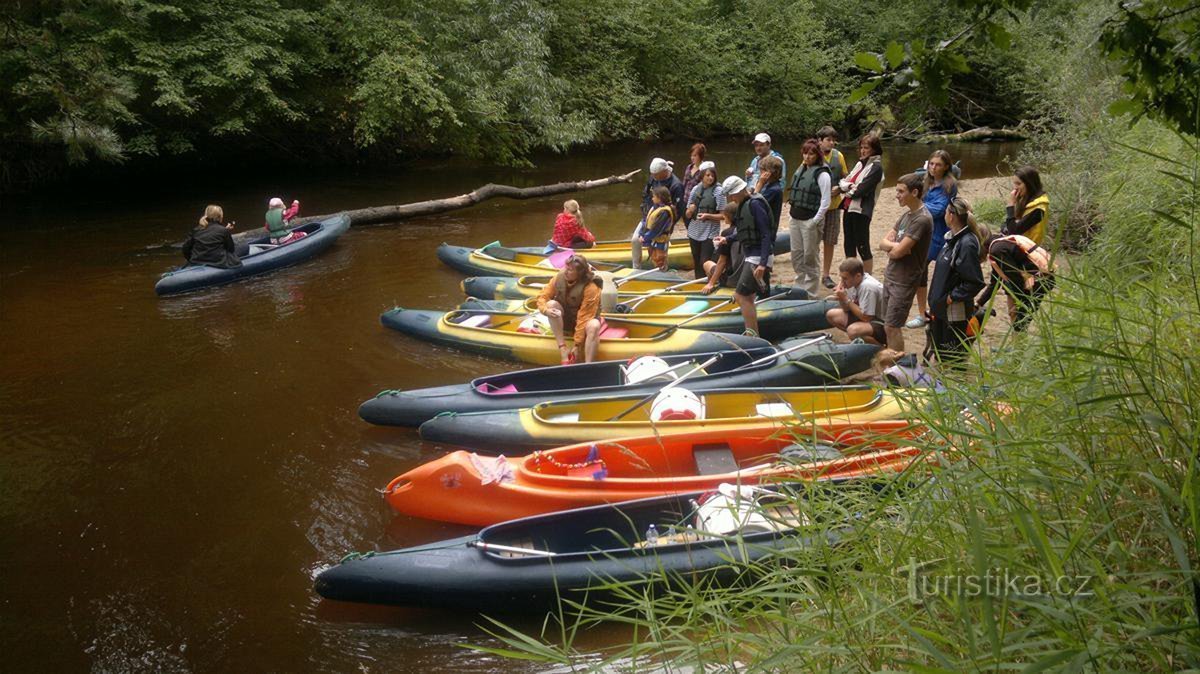 Boat Rental