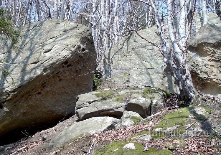 Pulčín-Felsen und Umgebung