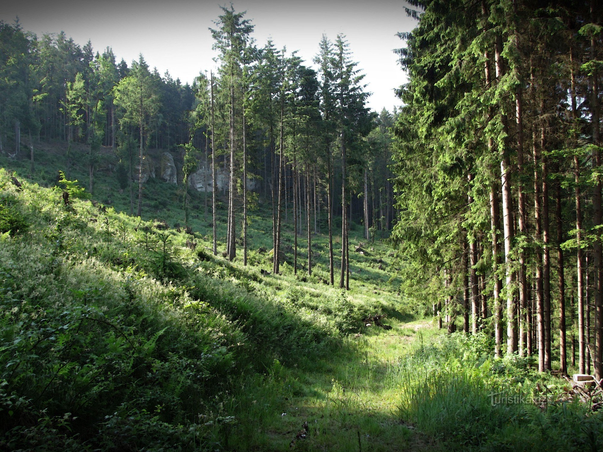 Pulčínsko - ortův hrad