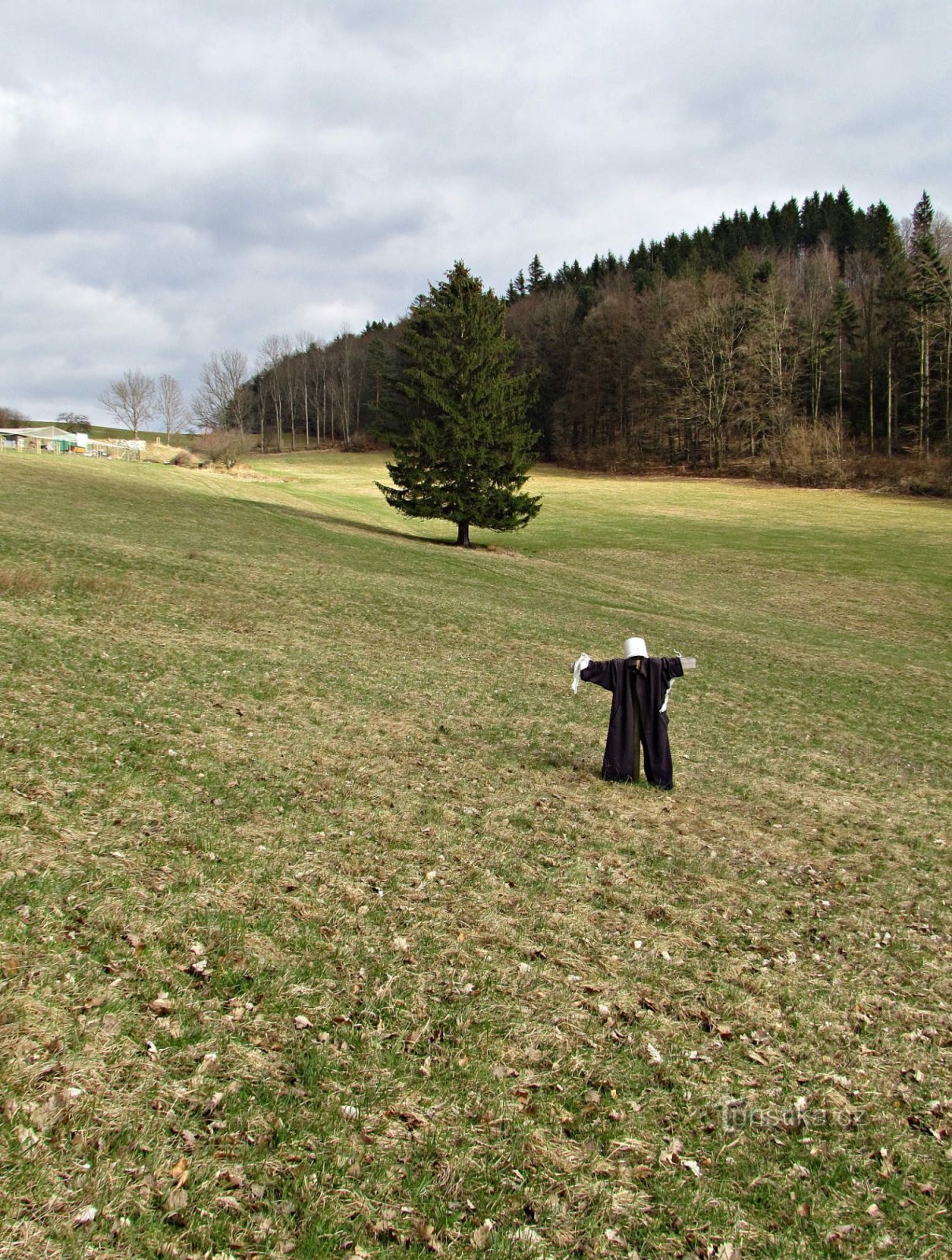 Meio círculo em torno de Držková