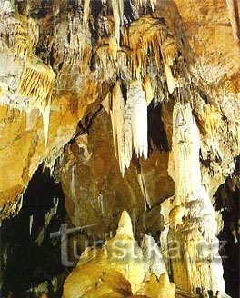 Печера Пунква