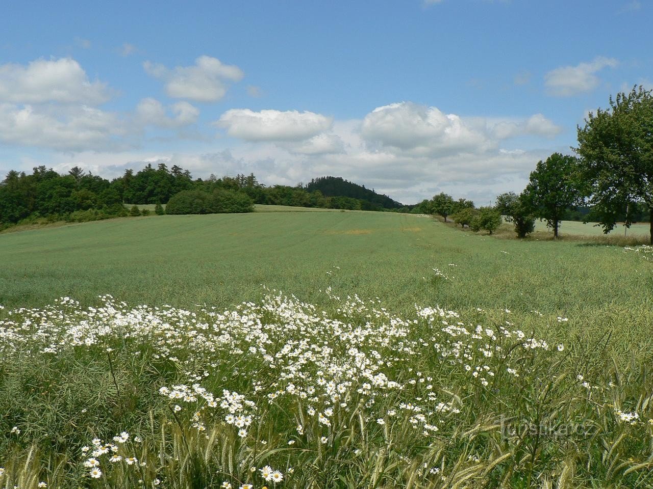 Pušperk s istoka