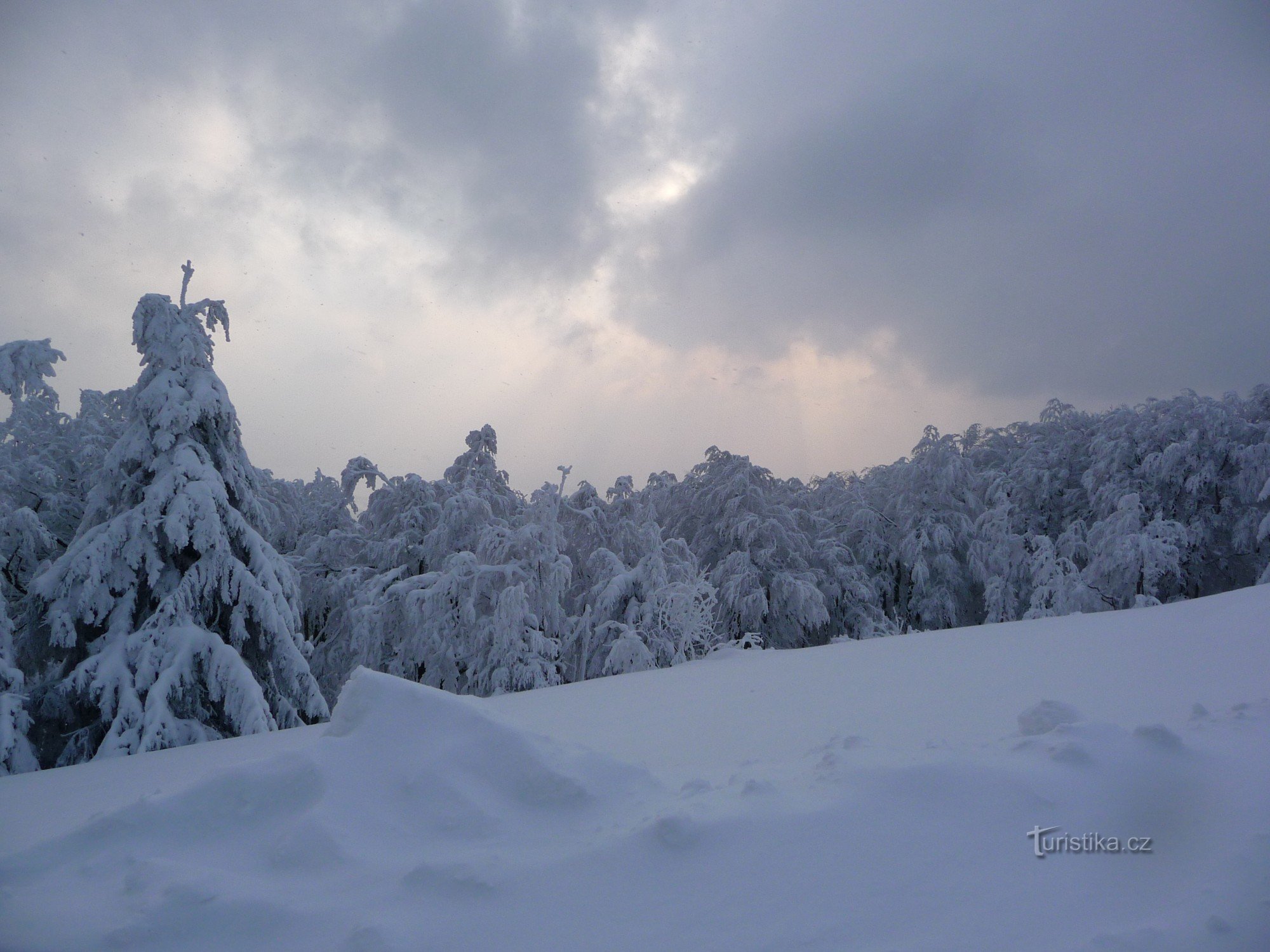 Ermitages en hiver