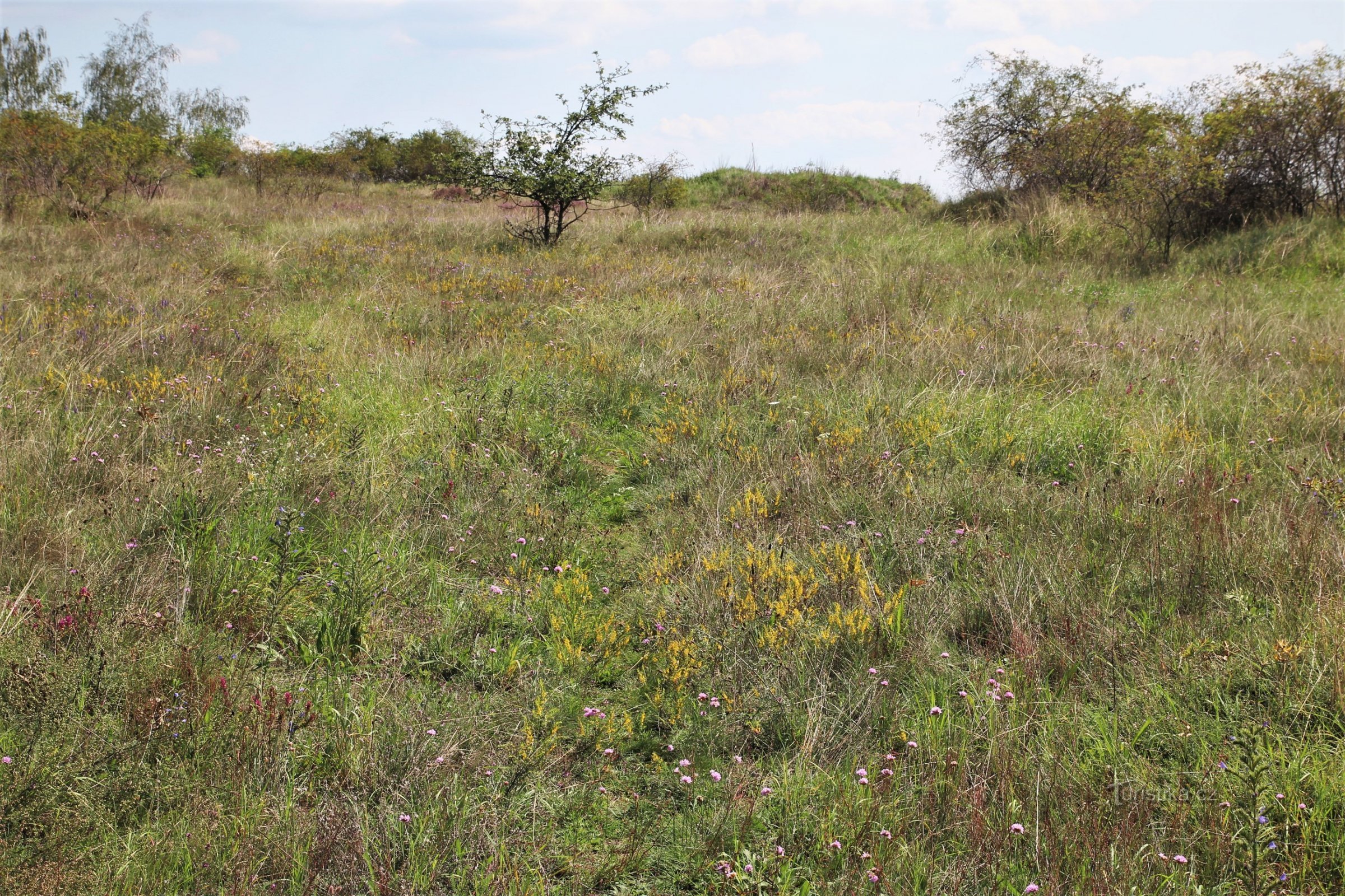 Colline désolée près de Konic - un monument naturel