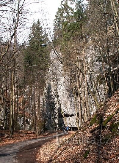 Desolate Ravine: Das Felsmassiv in der Schlucht Desolate Ravine - man kann vergleichen, wie tief es ist