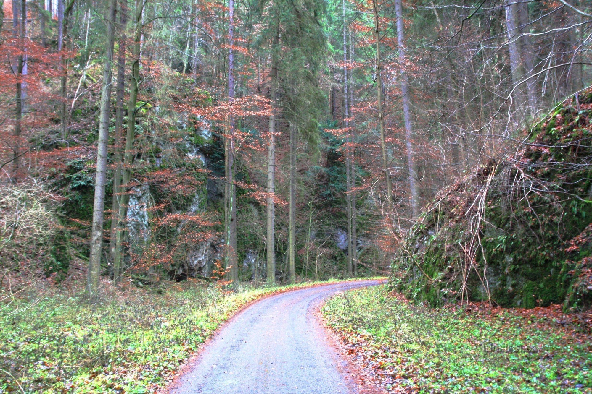 Eine verlassene Schlucht in der Nähe von Lucerka