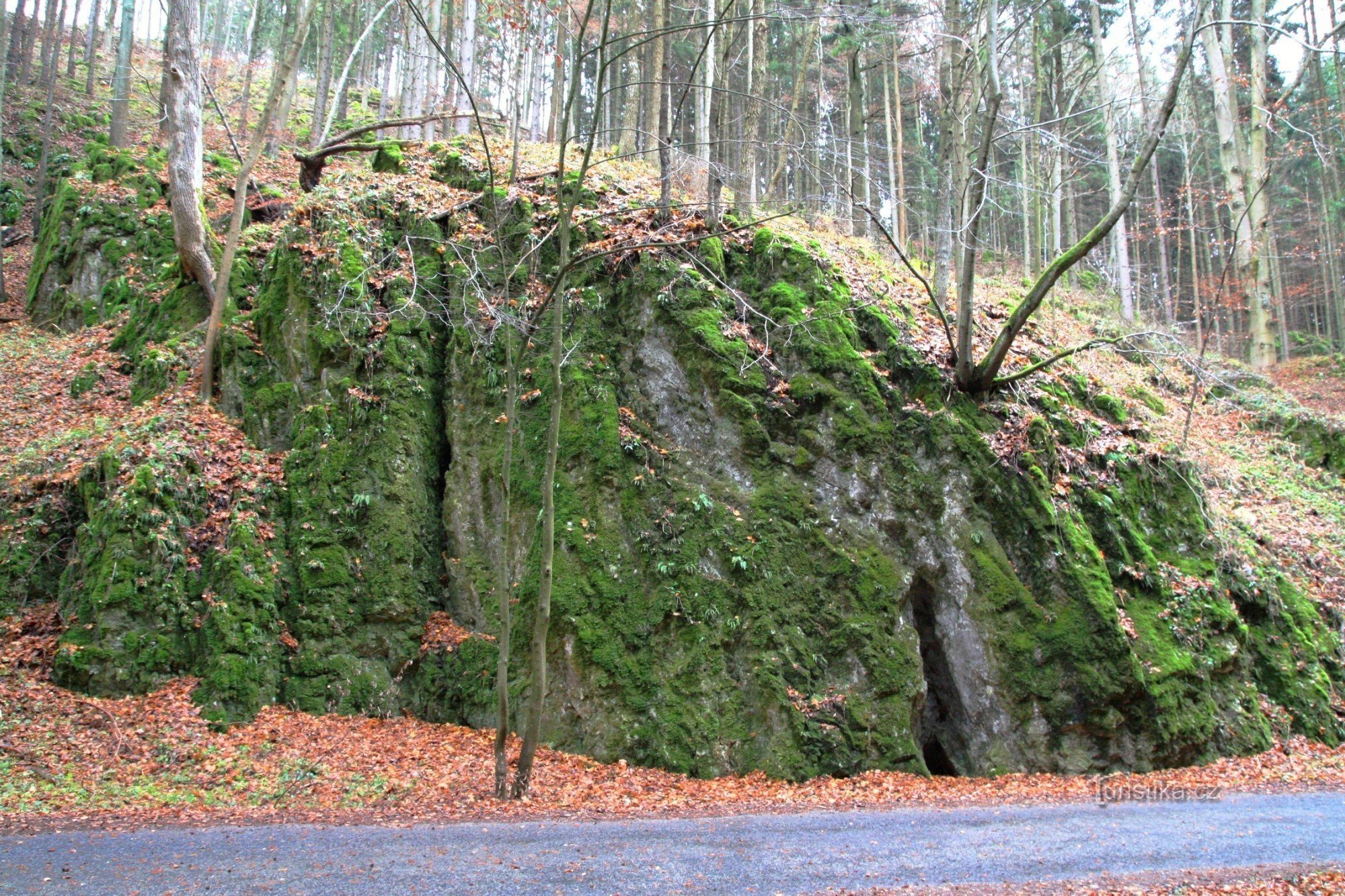 Eine menschenleere Schlucht vor dem Wintereinbruch