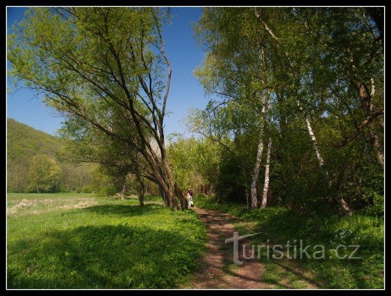 WANDELEN DOOR DE MORAVISCHE LANDEN