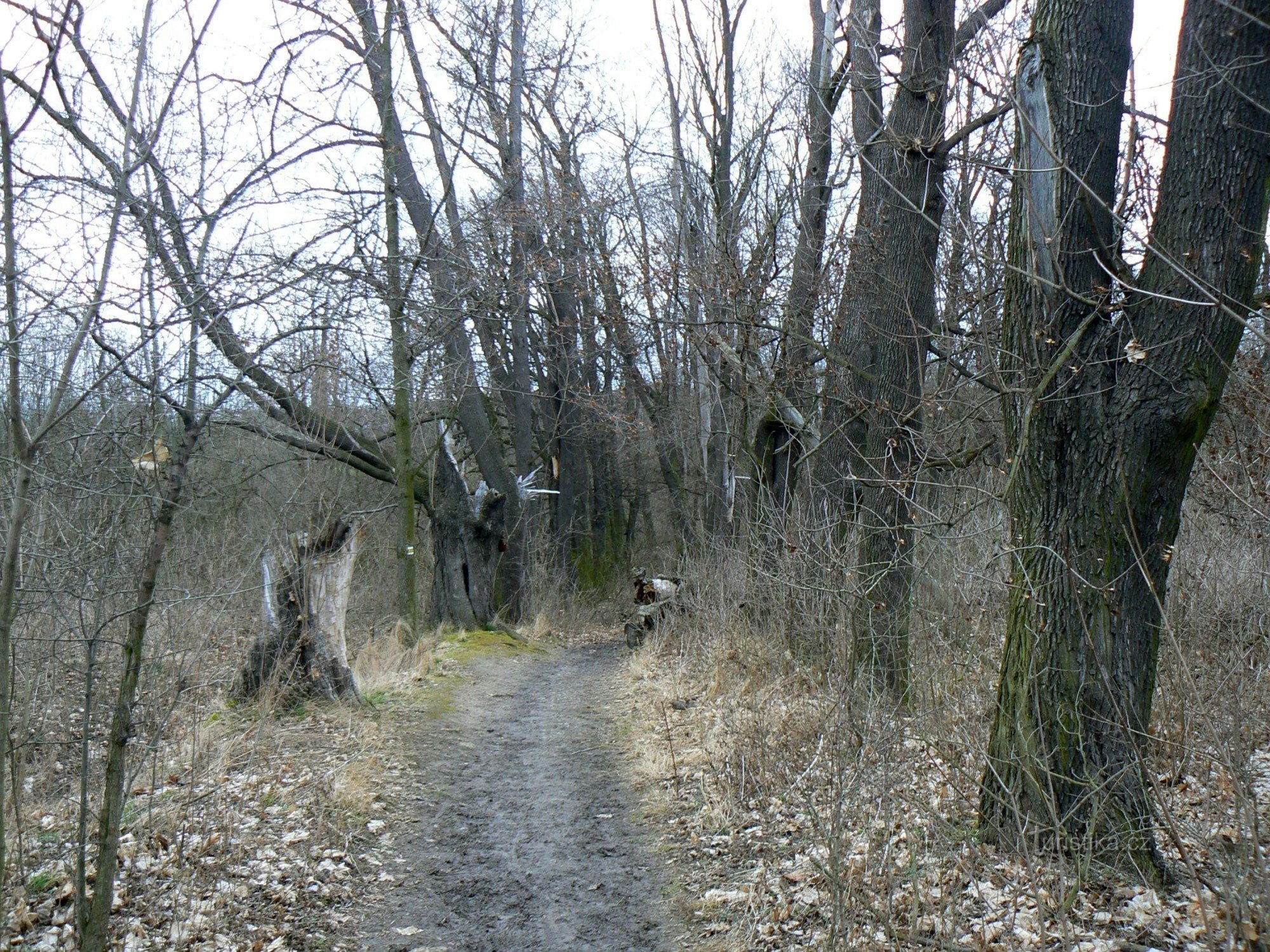 Az eredeti sikátor