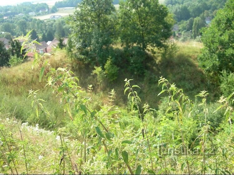 Les douves du château d'origine