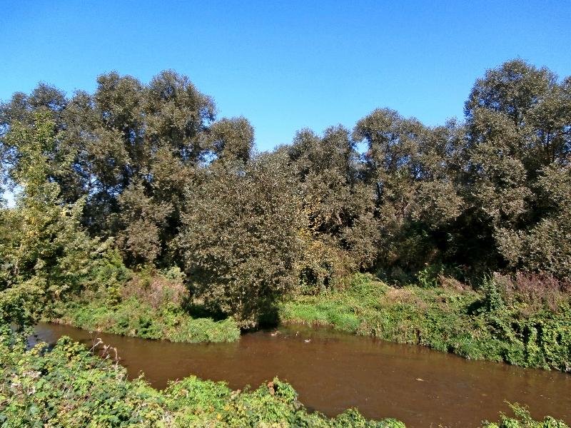 původní koryto řeky Bíliny