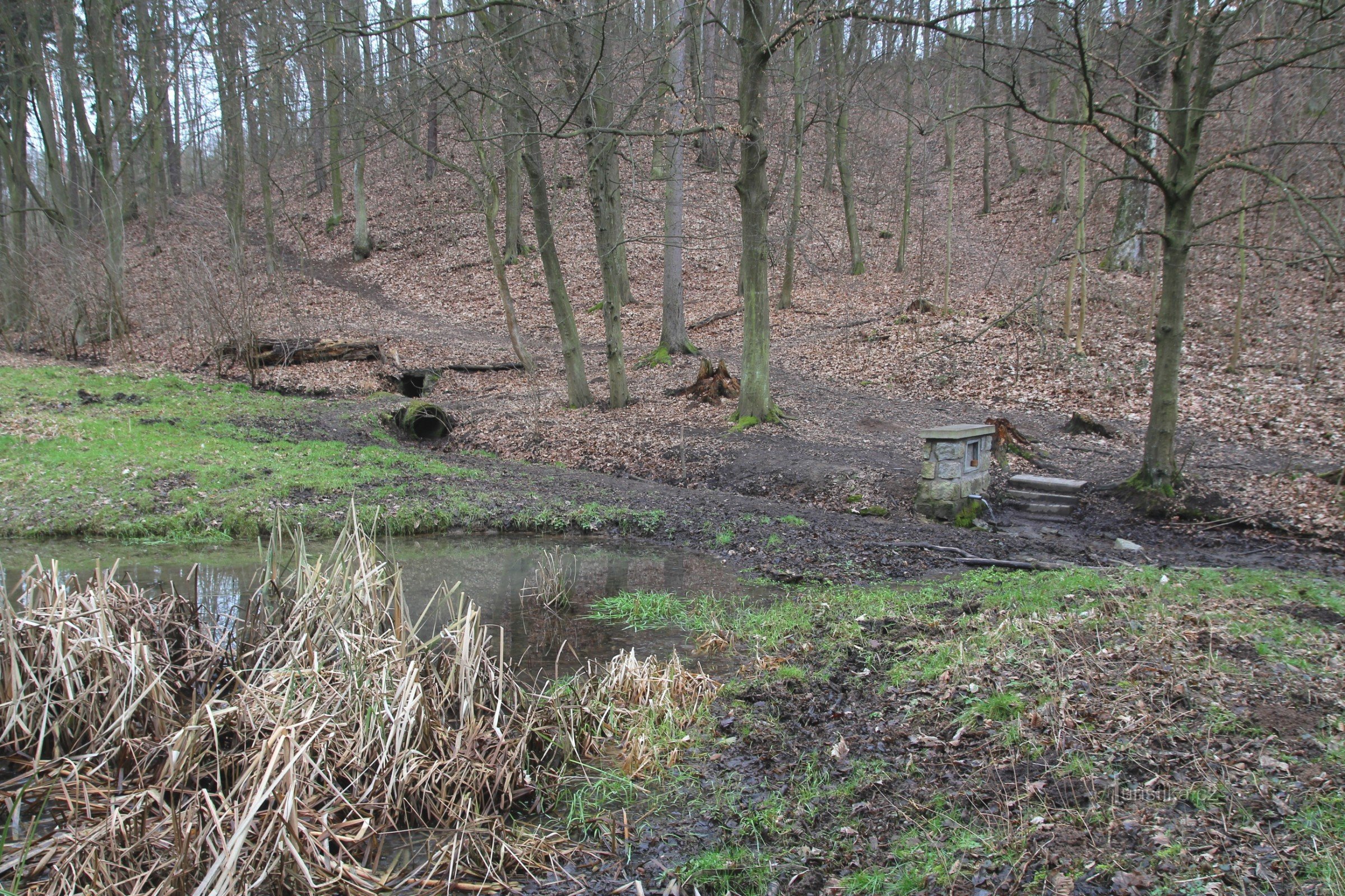 The original spring was located more to the left upstream