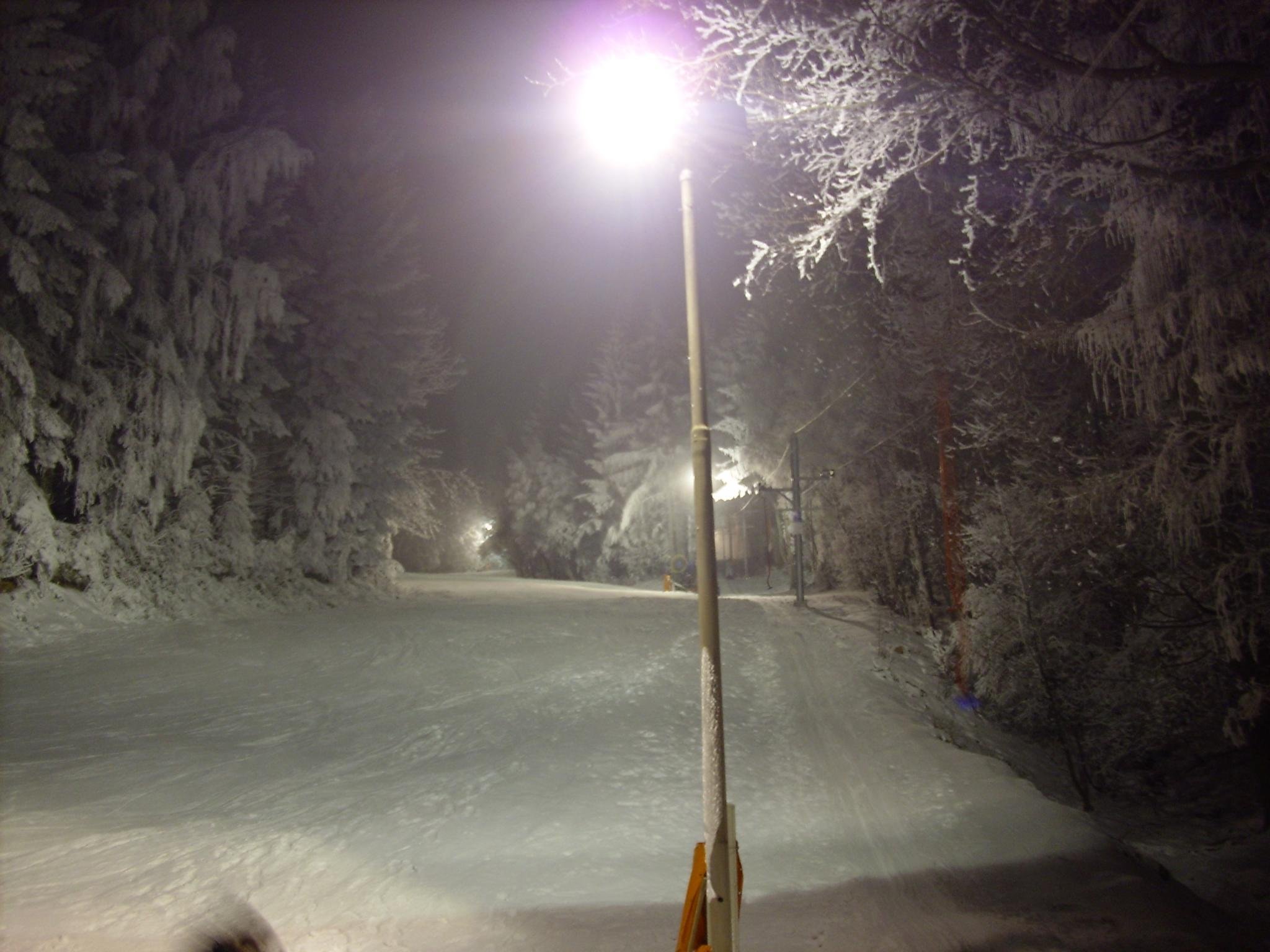 Stolt kvällsskidåkning