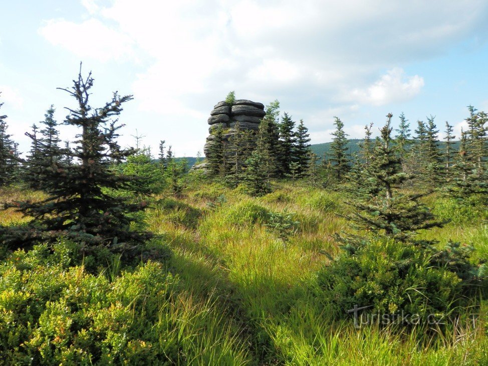 Salametsästys kiveä vanhalta metsätieltä