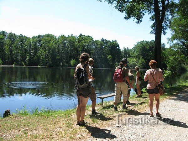 Quest Wetland spirál a mentőállomáshoz