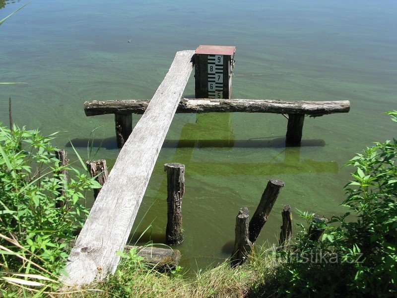 Quest Wetland-Spirale zur Rettungsstation